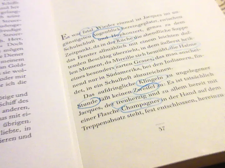 Aufgeschlagenes Buches mit unterstrichenen Begriffen